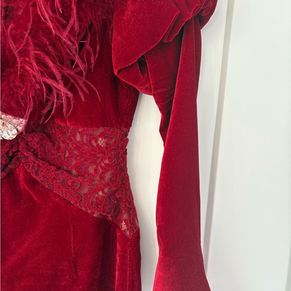 Elegant Red Velvet Dress with Feather Trim - Picture 6 of 6